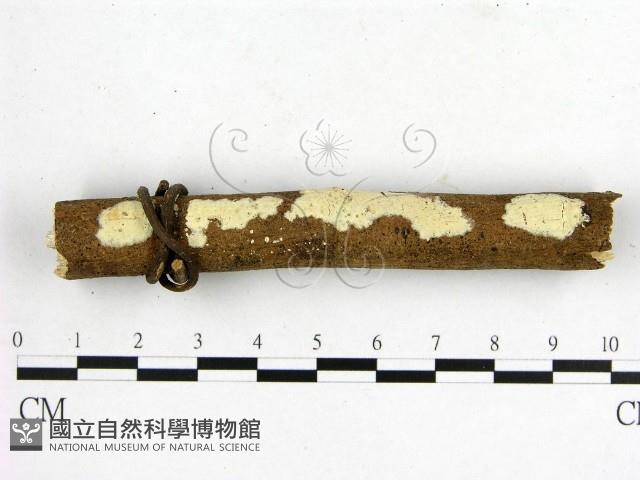 登錄號:F0014916藏品圖，第1張