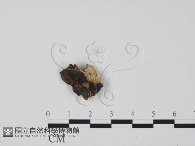 登錄號:F0012916藏品圖，第1張
