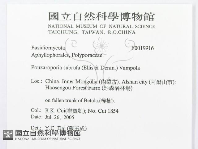 登錄號:F0019916藏品圖，第3張