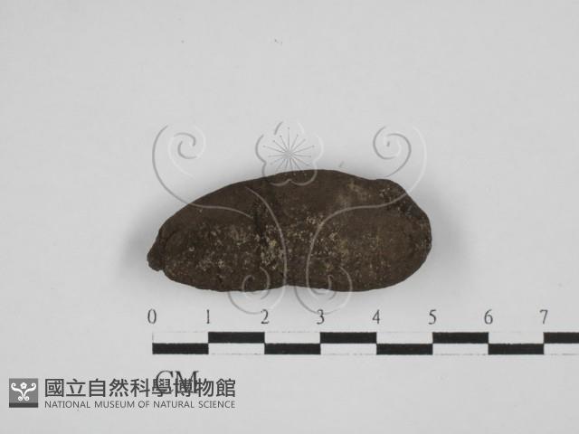 登錄號:F0028616藏品圖，第1張