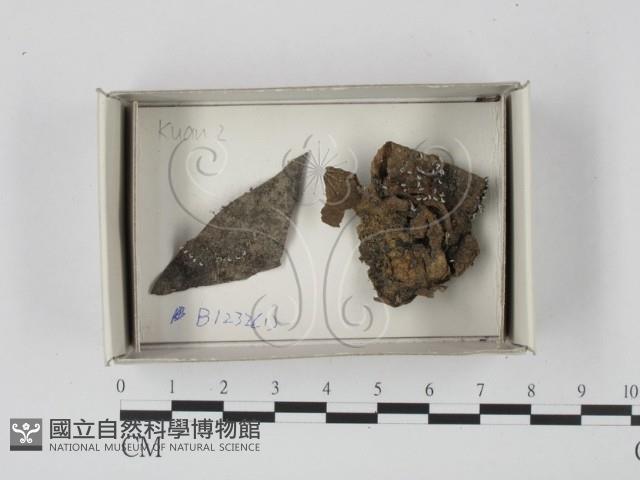 登錄號:F0020616藏品圖，第1張