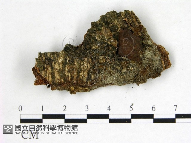 登錄號:F0022616藏品圖，第1張