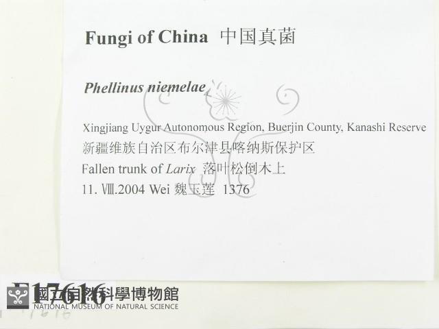 登錄號:F0017616藏品圖，第3張