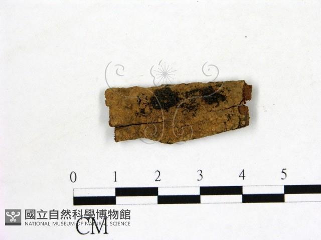 登錄號:F0019616藏品圖，第1張