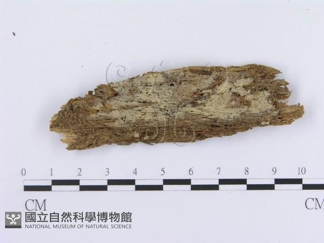 登錄號:F0003616藏品圖，第1張