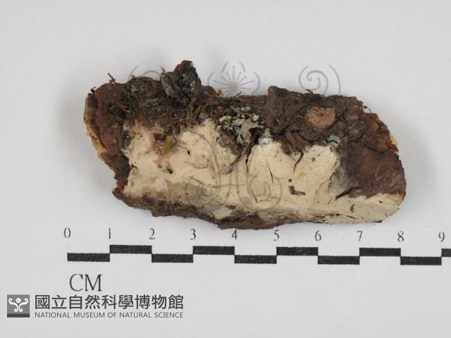 登錄號:F0030416藏品圖，第1張