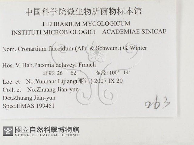 登錄號:F0026416藏品圖，第3張