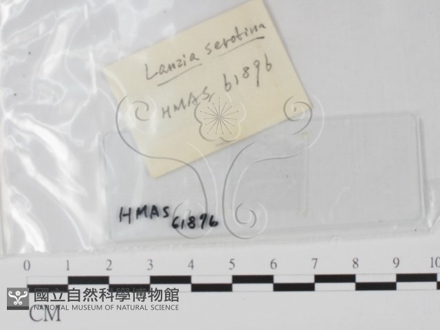登錄號:F0007416藏品圖，第1張