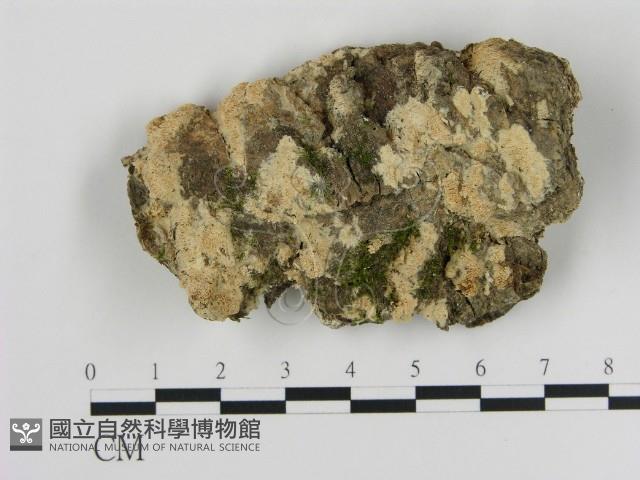 登錄號:F0015416藏品圖，第1張