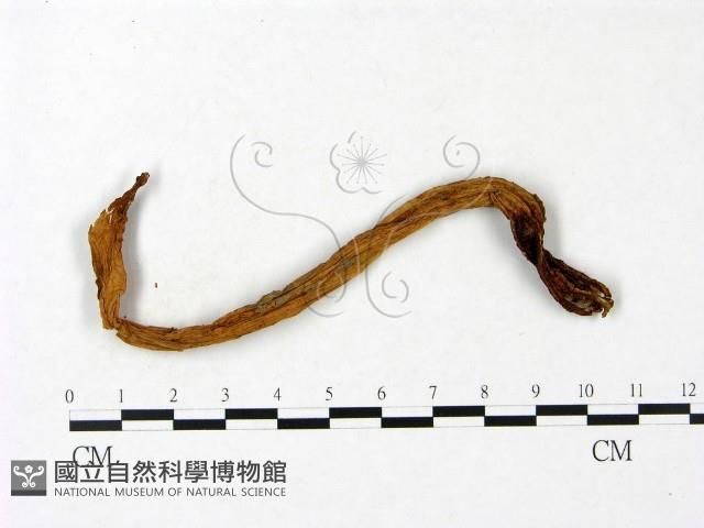 登錄號:F0023416藏品圖，第1張