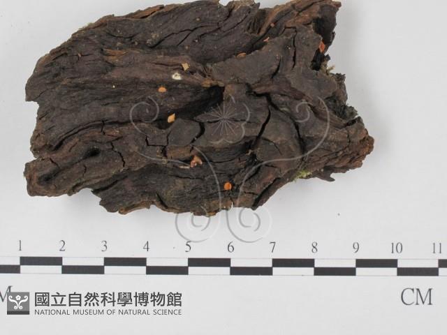 登錄號:F0003416藏品圖，第1張