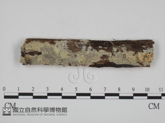 登錄號:F0008716藏品圖，第1張