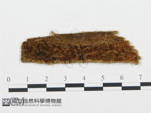 登錄號:F0006716藏品圖，第1張