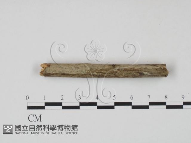 登錄號:F0021716藏品圖，第1張