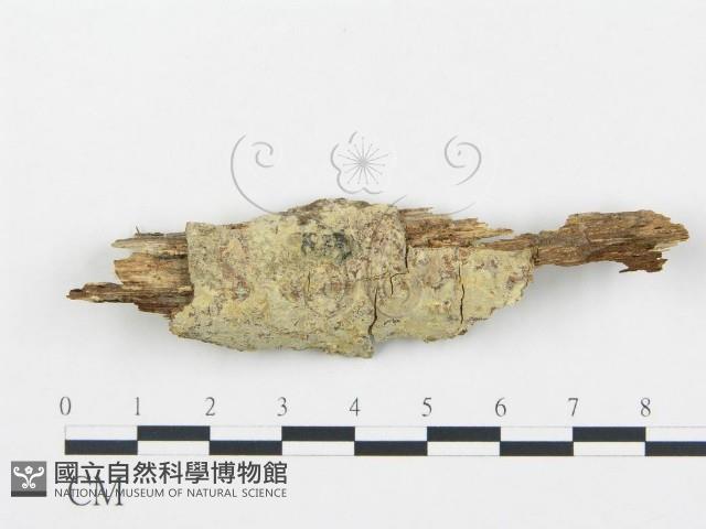 登錄號:F0002716藏品圖，第1張