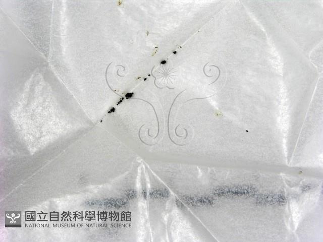 登錄號:F0005716藏品圖，第1張