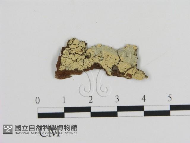 登錄號:F0015716藏品圖，第1張