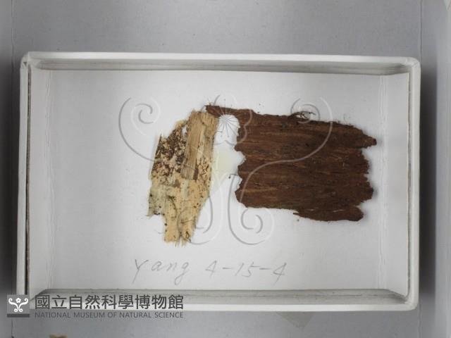 登錄號:F0018516藏品圖，第1張