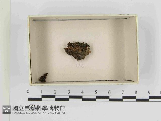 登錄號:F0021516藏品圖，第1張