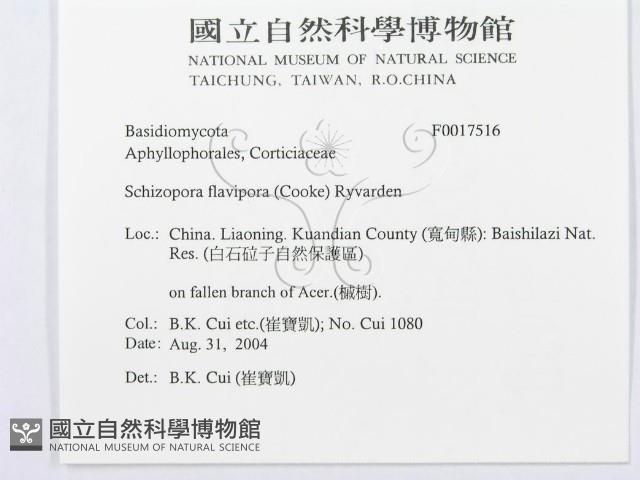 登錄號:F0017516藏品圖，第3張