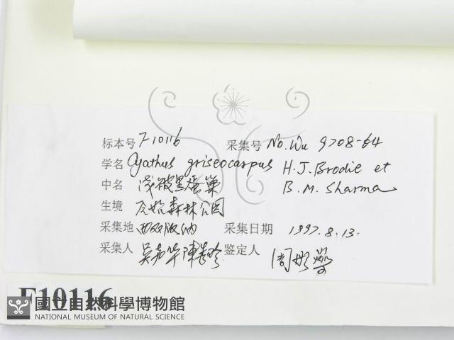 登錄號:F0010116藏品圖，第3張