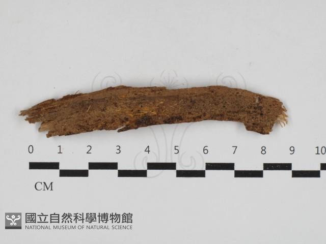 登錄號:F0033116藏品圖，第1張
