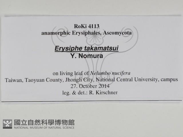 登錄號:F0031016藏品圖，第3張