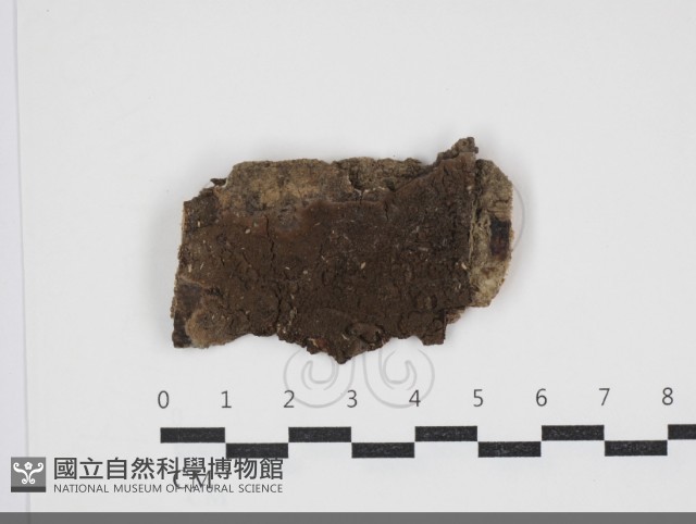 登錄號:F0034016藏品圖，第1張