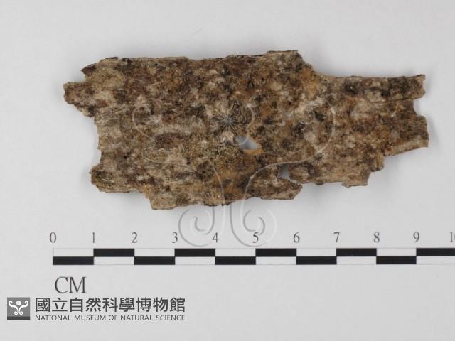 登錄號:F0012016藏品圖，第1張