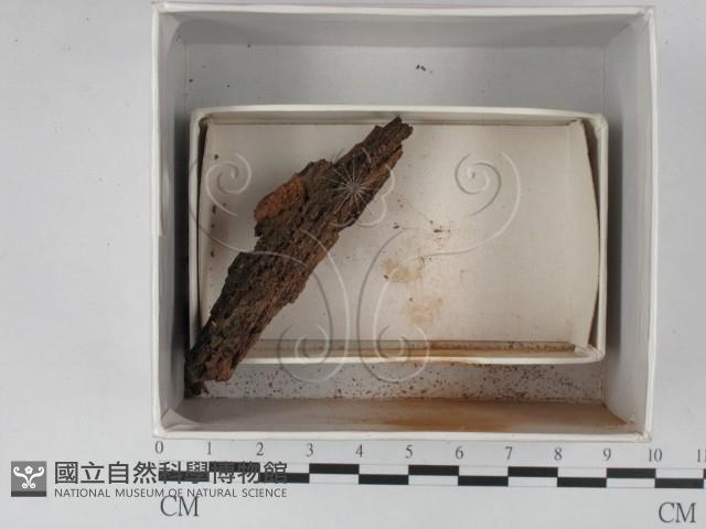 登錄號:F0018256藏品圖，第1張