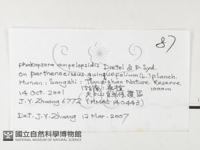 登錄號:F0026256藏品圖，第3張