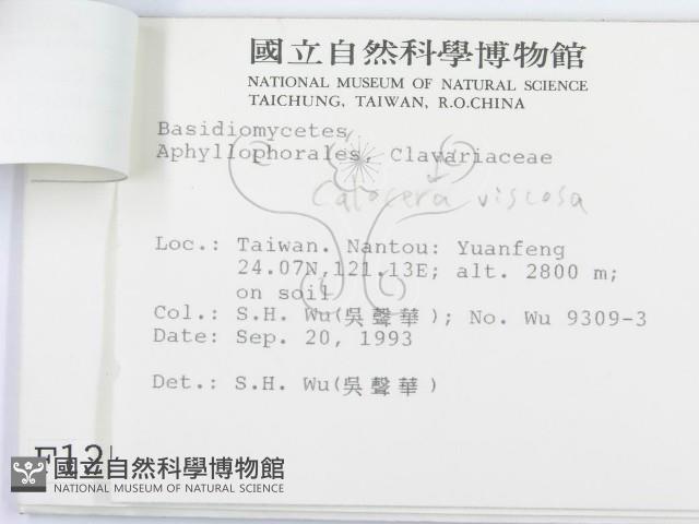 登錄號:F0001256藏品圖，第3張