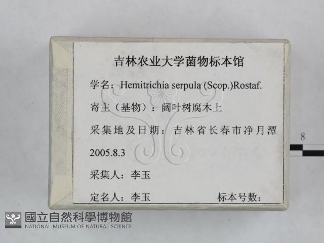 登錄號:F0023256藏品圖，第1張