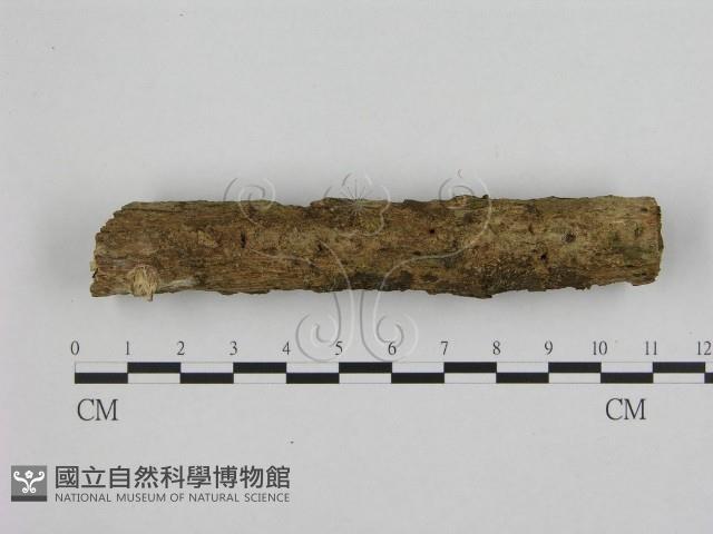 登錄號:F0003256藏品圖，第1張