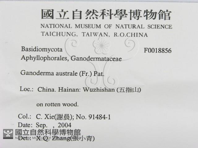 登錄號:F0018856藏品圖，第3張