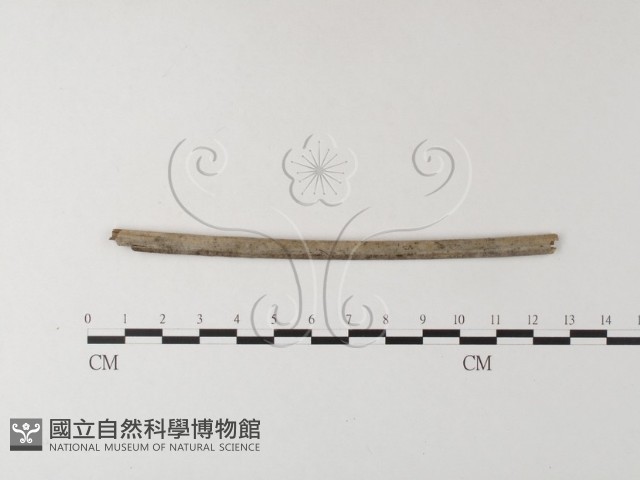 登錄號:F0007856藏品圖，第3張