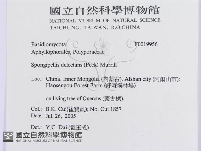 登錄號:F0019956藏品圖，第3張