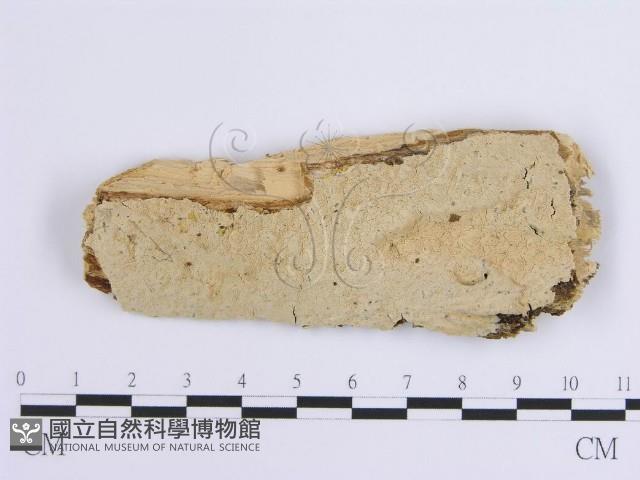登錄號:F0001656藏品圖，第1張