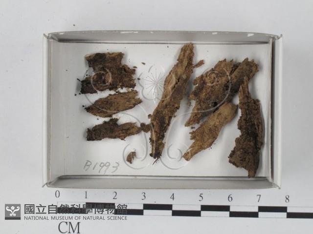 登錄號:F0018456藏品圖，第1張