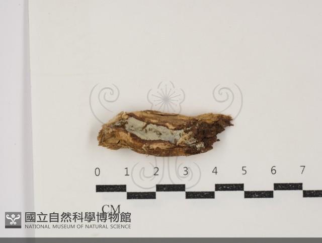 Accession Number:F0034456 Collection Image, Figure 1, Total 3 Figures