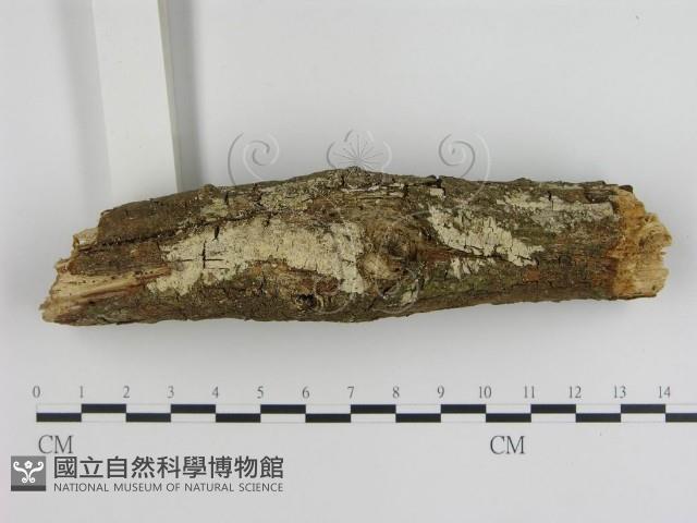 登錄號:F0018756藏品圖，第1張