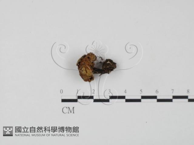登錄號:F0001756藏品圖，第1張