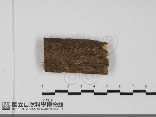 登錄號:F0031756藏品圖，第1張
