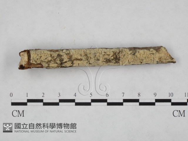 登錄號:F0024756藏品圖，第1張