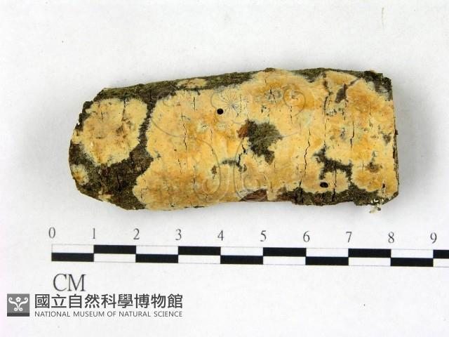 Accession Number:F0022756 Collection Image, Figure 1, Total 3 Figures