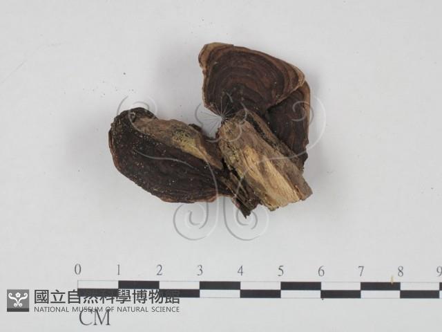 登錄號:F0002756藏品圖，第1張