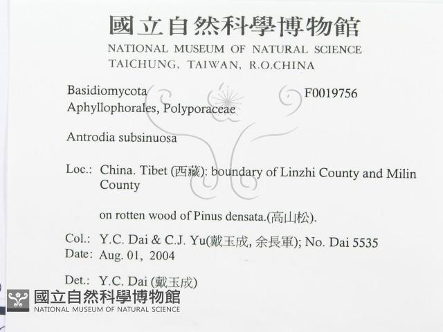 登錄號:F0019756藏品圖，第3張