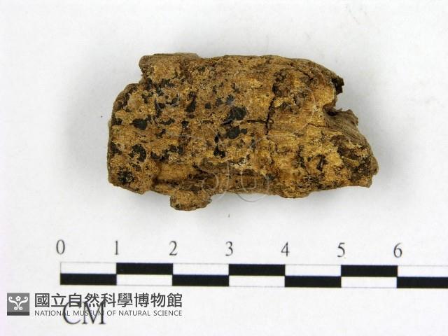 登錄號:F0006556藏品圖，第1張