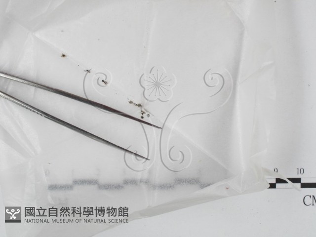 登錄號:F0022556藏品圖，第1張
