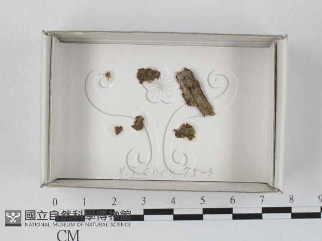 登錄號:F0018156藏品圖，第1張